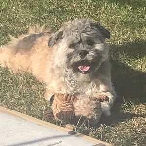 Meet your Posher, Alina